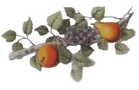 Fruits de France