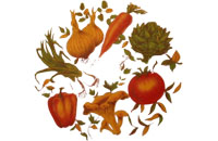Legumes