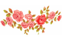 Mini roses vert