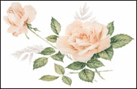 Rose de France (rose)