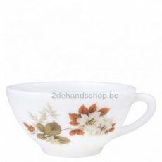 Meidoorn tas Ø 10,5